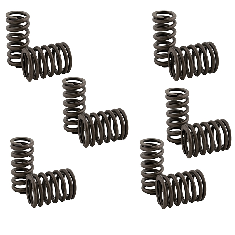 Hergestellt für Cummins 6B 6BT 6BTA 5.9 in USA - 12 St. Ventilfeder 3900276 3926700 763