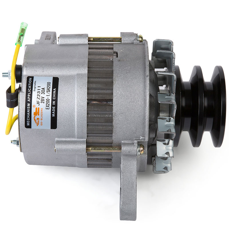 Kompatibel mit 15869 Dynamotor