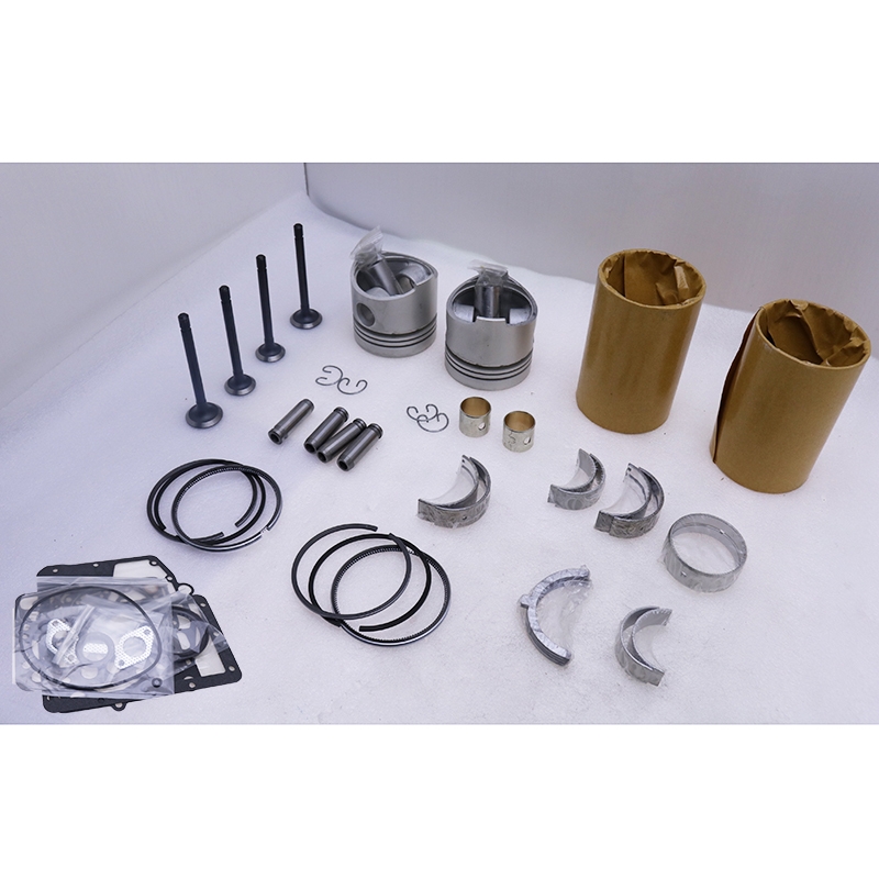 Hergestellt für Kubota ZB500 Motor - 2 Zylinder Overhaul Umbau Kit