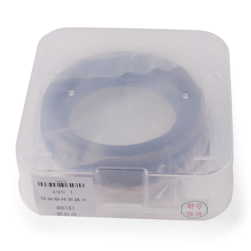 Entwickelt für CASE ?lzylinder - 20829 ?ldichtung Kit