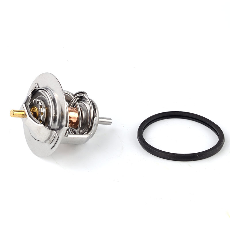 Kompatibel mit 21003 Thermostat