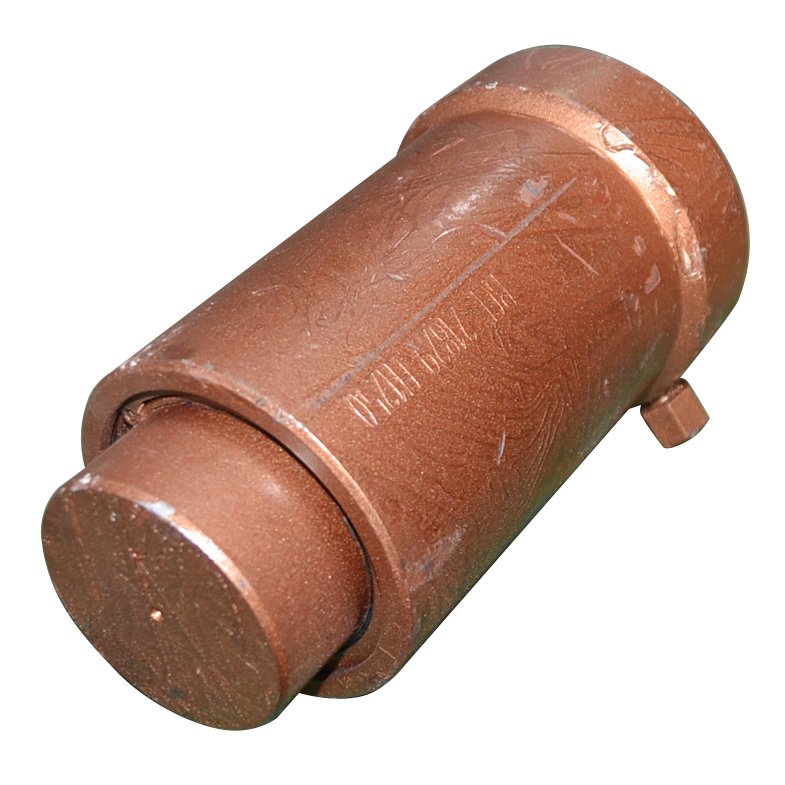 Kompatibel mit 21829 Tensioner ?lzylinder