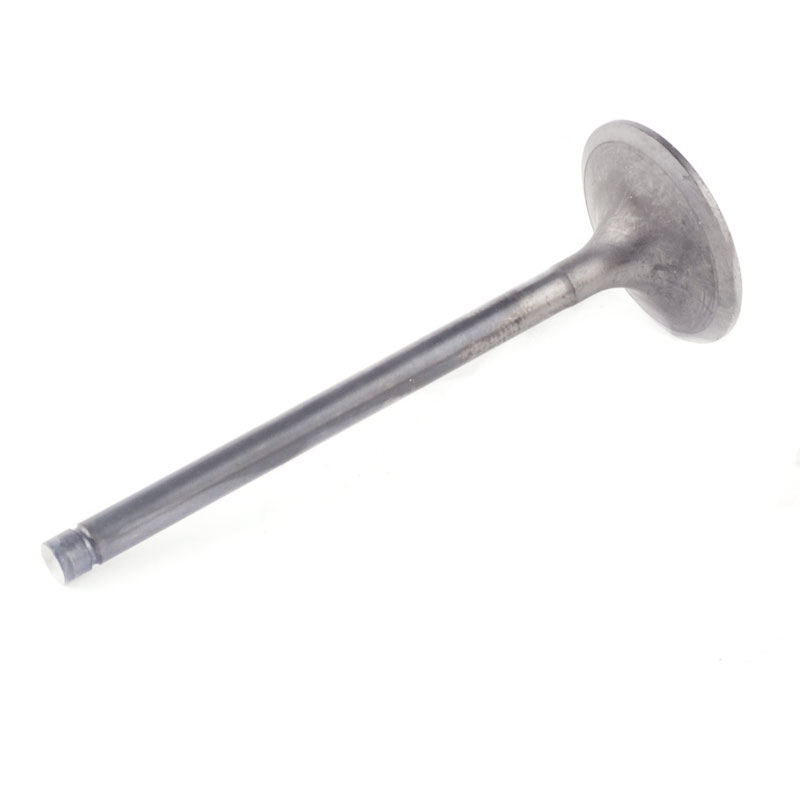 Kompatibel mit 24248 Enging Valve