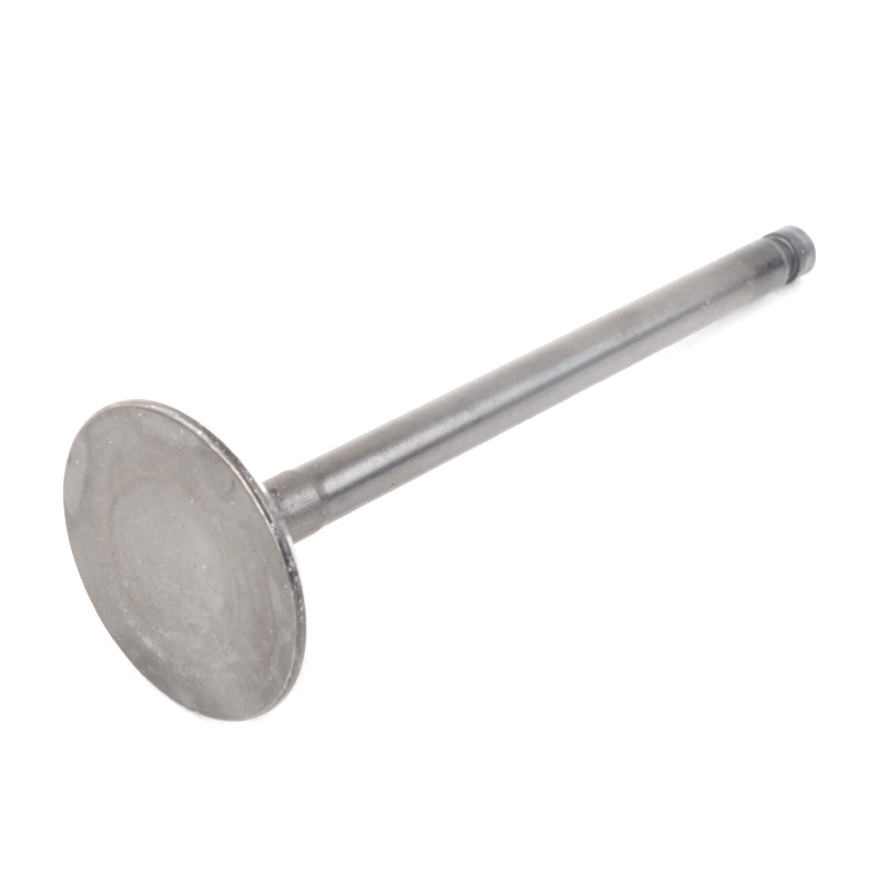 Kompatibel mit 24250 Enging Valve