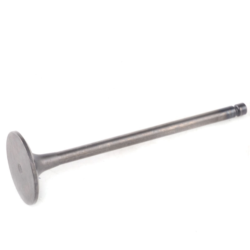 Kompatibel mit 24251 Enging Valve