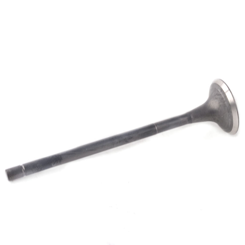 Kompatibel mit 24255 Enging Valve