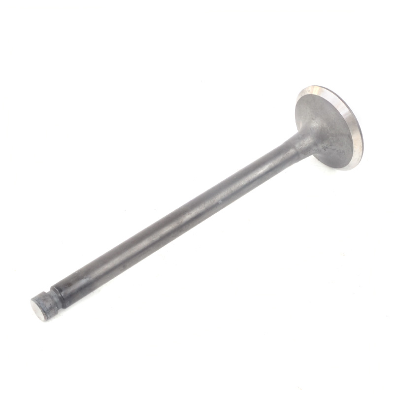 Kompatibel mit 24256 Enging Valve