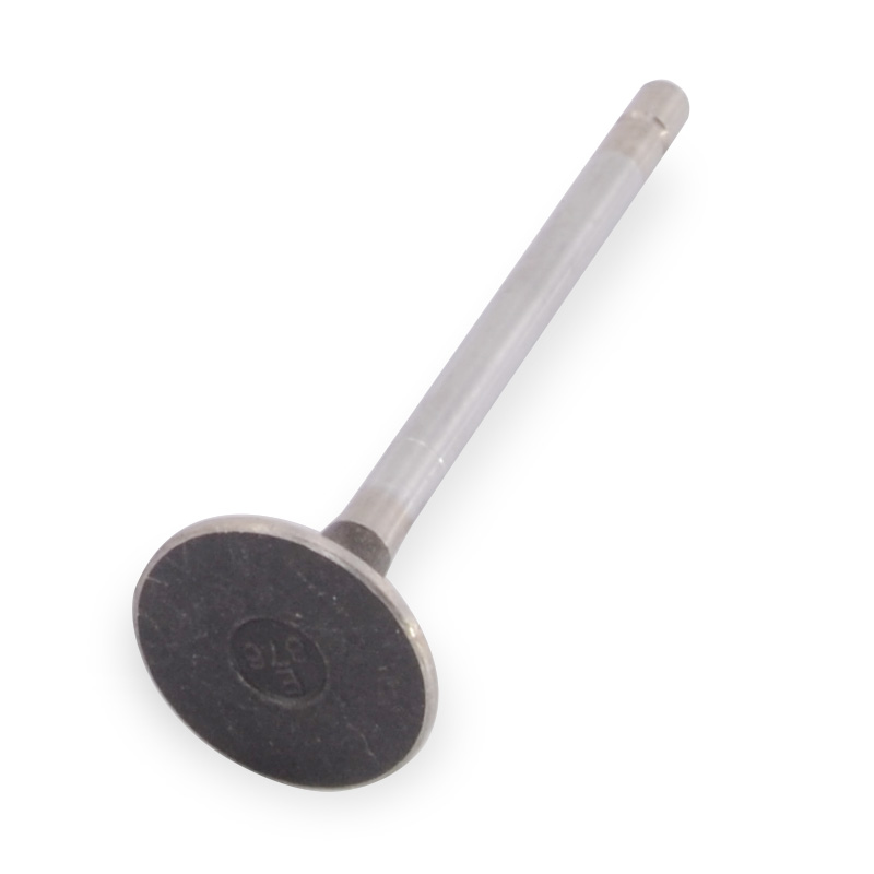 Kompatibel mit 24258 Enging Valve