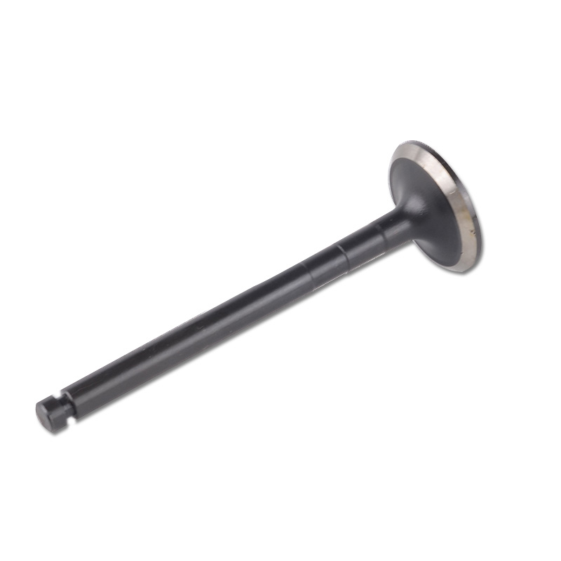 Kompatibel mit 24428 Enging Valve