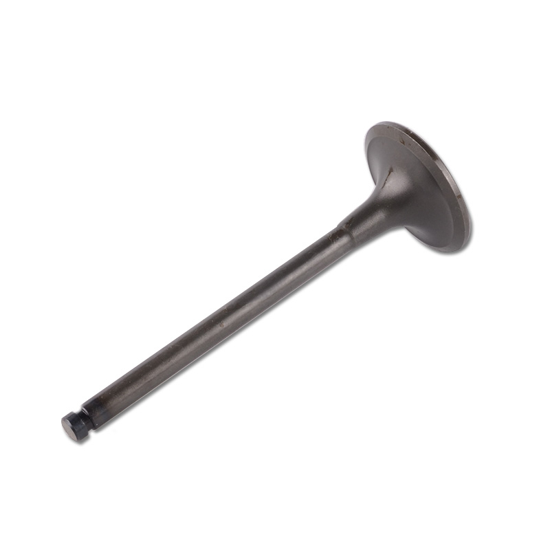Kompatibel mit 24431 Enging Valve