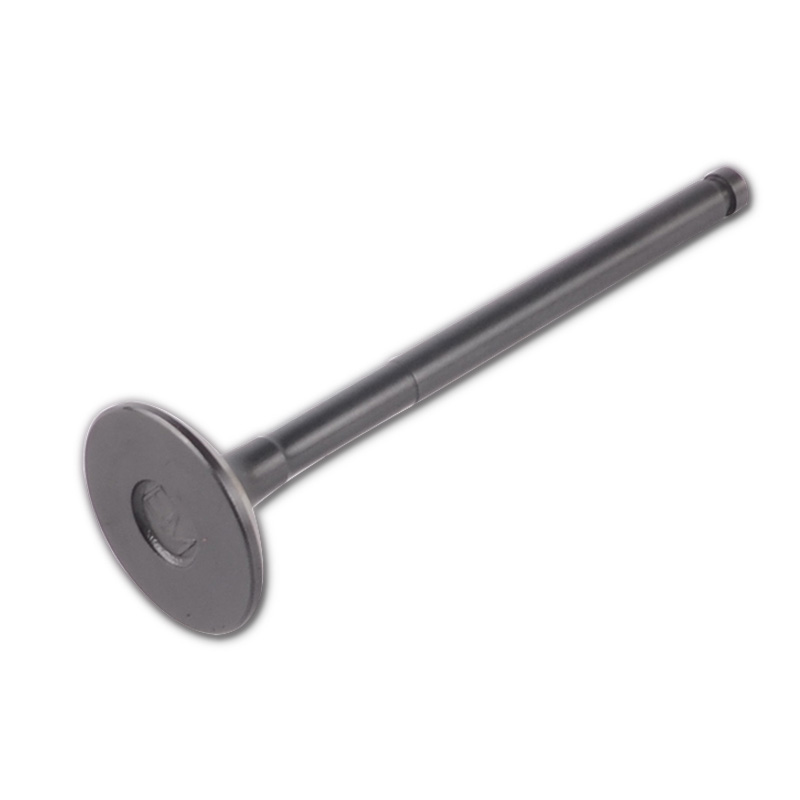 Kompatibel mit 24432 Enging Valve