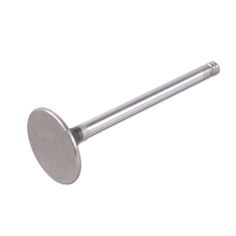 Kompatibel mit 24433 Enging Valve
