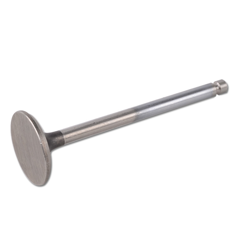 Kompatibel mit 24435 Enging Valve