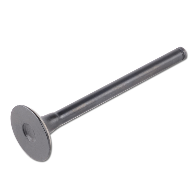 Kompatibel mit 24436 Enging Valve