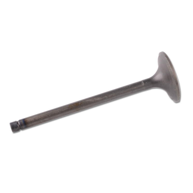 Kompatibel mit 24437 Enging Valve