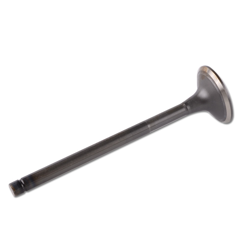 Kompatibel mit 24438 Enging Valve