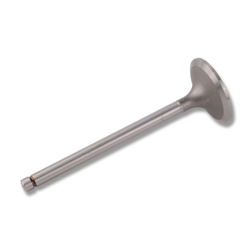 Kompatibel mit 24441 Enging Valve
