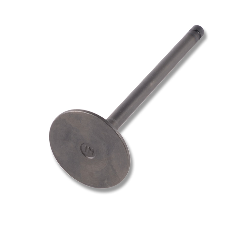 Kompatibel mit 24443 Enging Valve