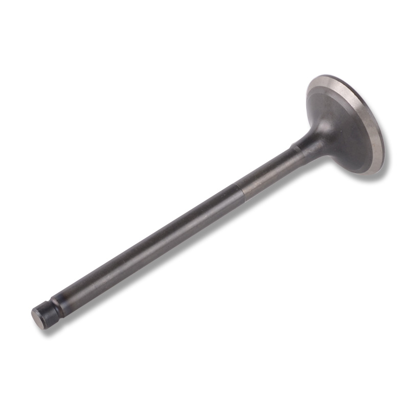Kompatibel mit 24444 Enging Valve