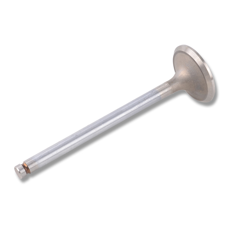 Kompatibel mit 24446 Enging Valve