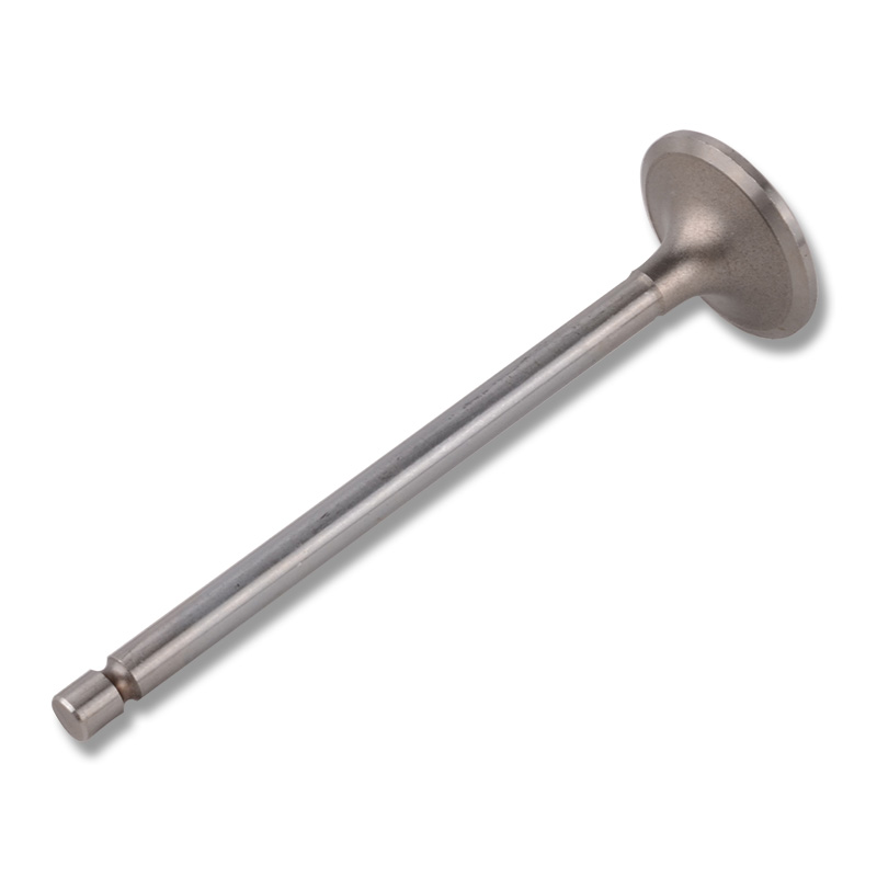 Kompatibel mit 24447 Enging Valve