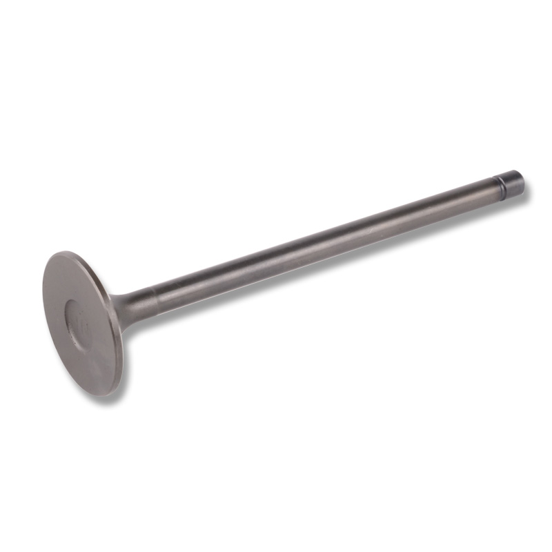 Kompatibel mit 24449 Enging Valve