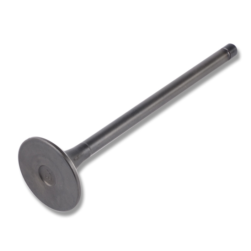 Kompatibel mit 24450 Enging Valve