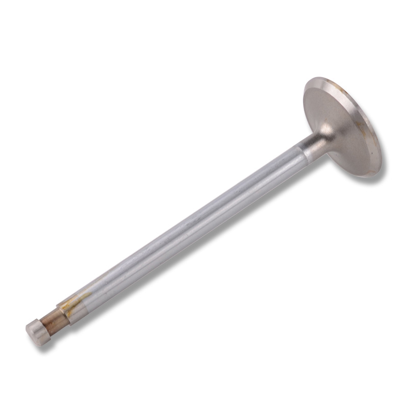 Kompatibel mit 24453 Enging Valve
