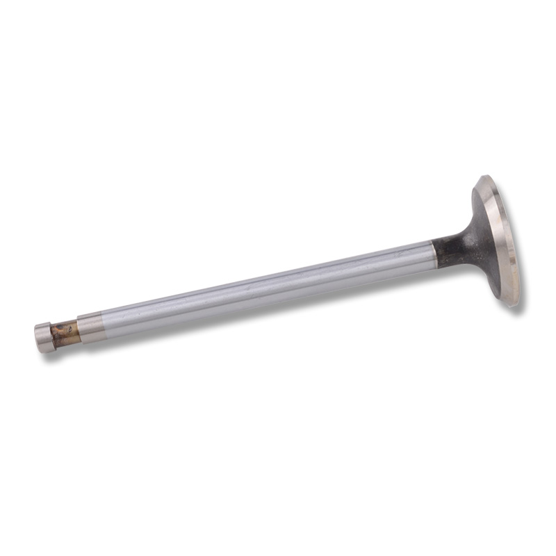 Kompatibel mit 24454 Enging Valve