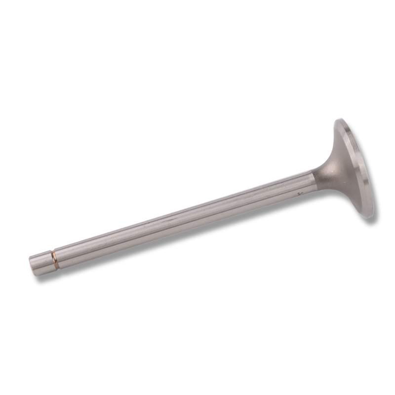 Kompatibel mit 24457 Enging Valve