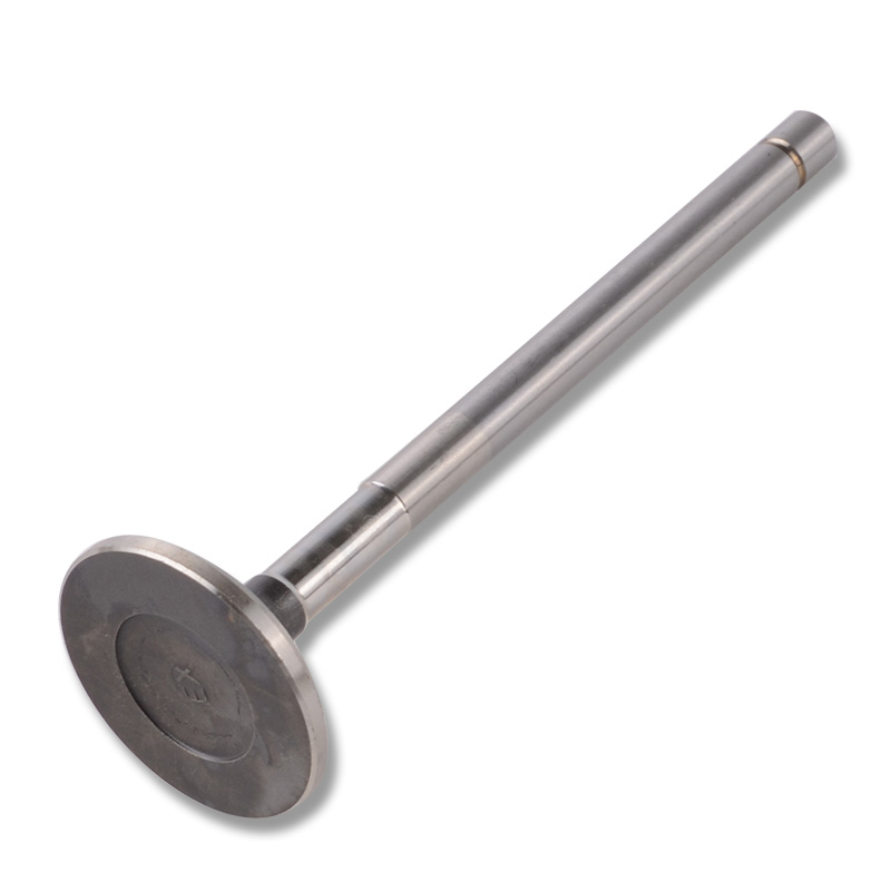 Kompatibel mit 24458 Enging Valve