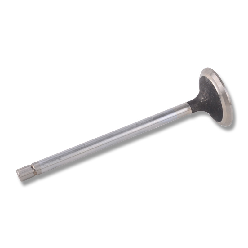 Kompatibel mit 24462 Enging Valve