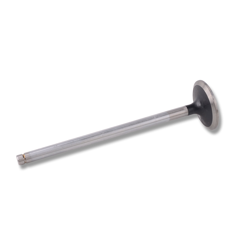 Kompatibel mit 24463 Enging Valve