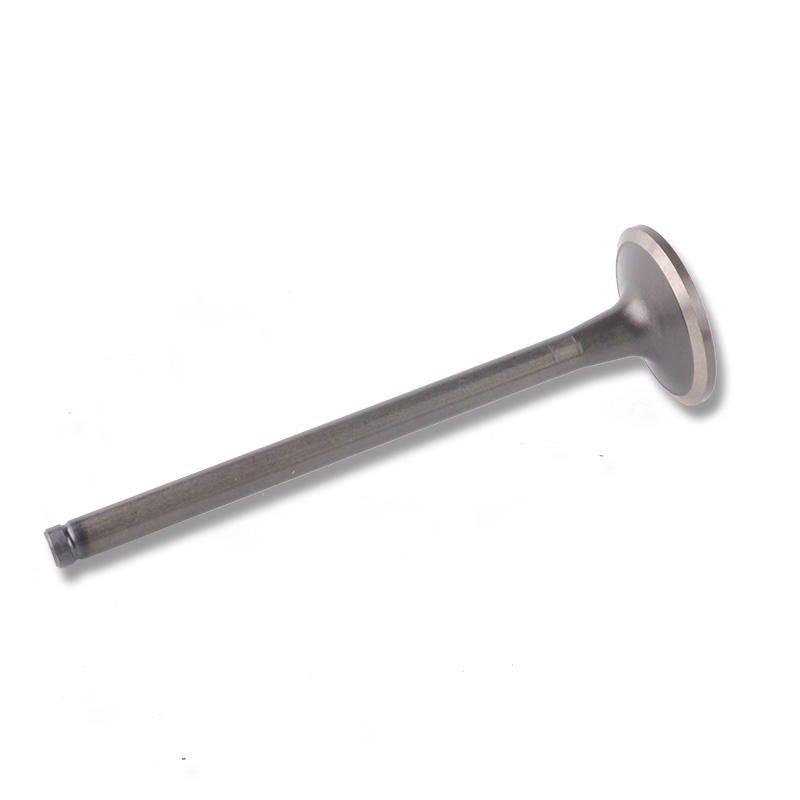 Kompatibel mit 24465 Enging Valve