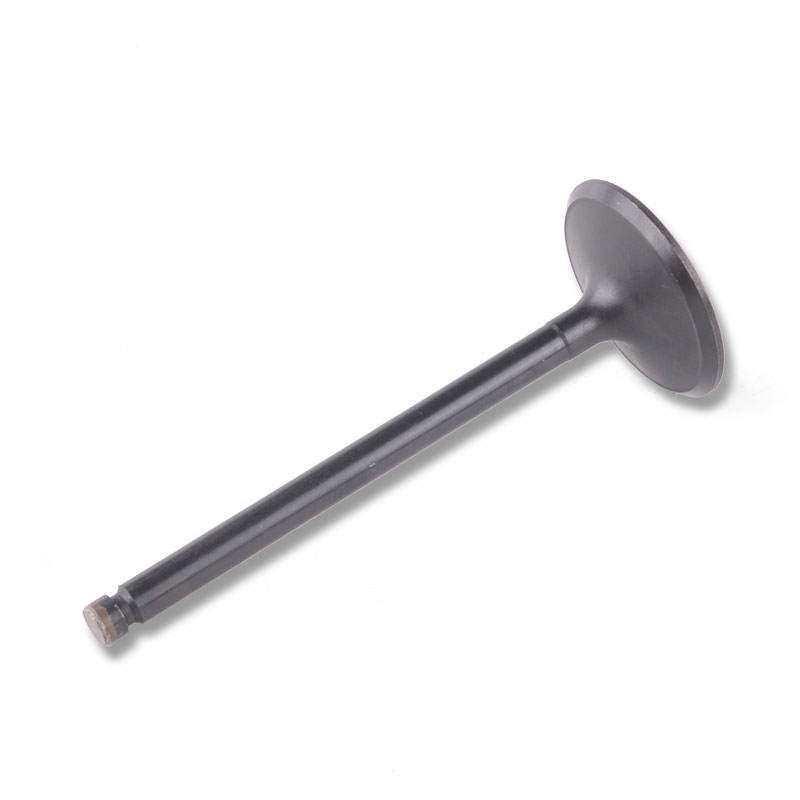 Kompatibel mit 24473 Enging Valve