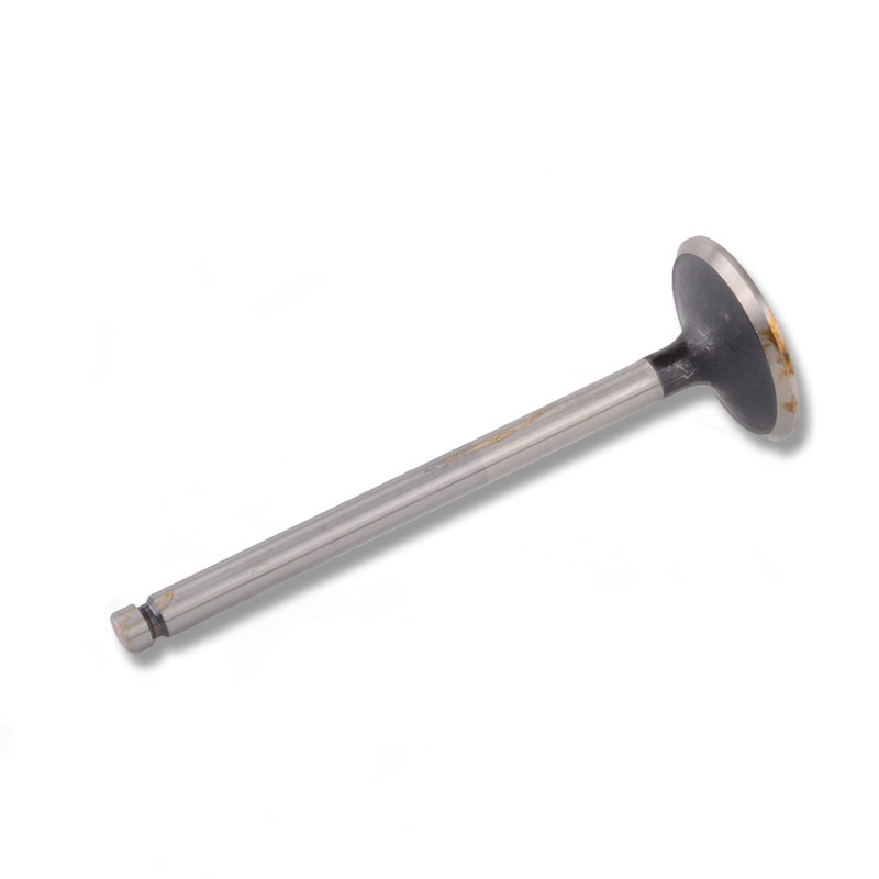 Kompatibel mit 24474 Enging Valve