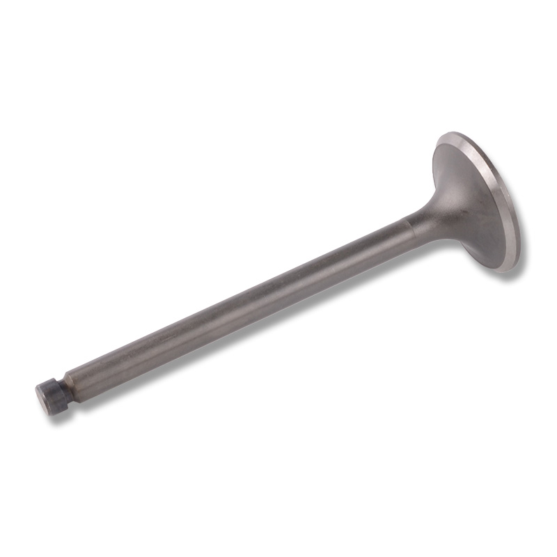Kompatibel mit 24475 Enging Valve