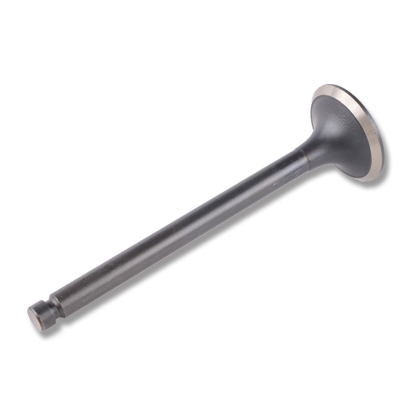 Kompatibel mit 24476 Enging Valve
