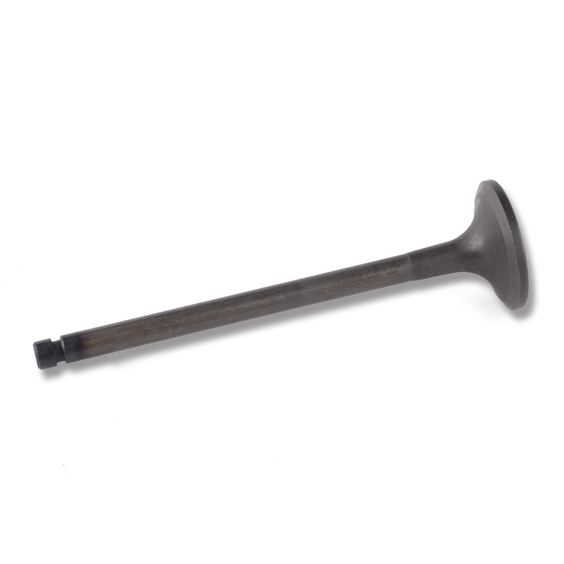 Kompatibel mit 24478 Enging Valve