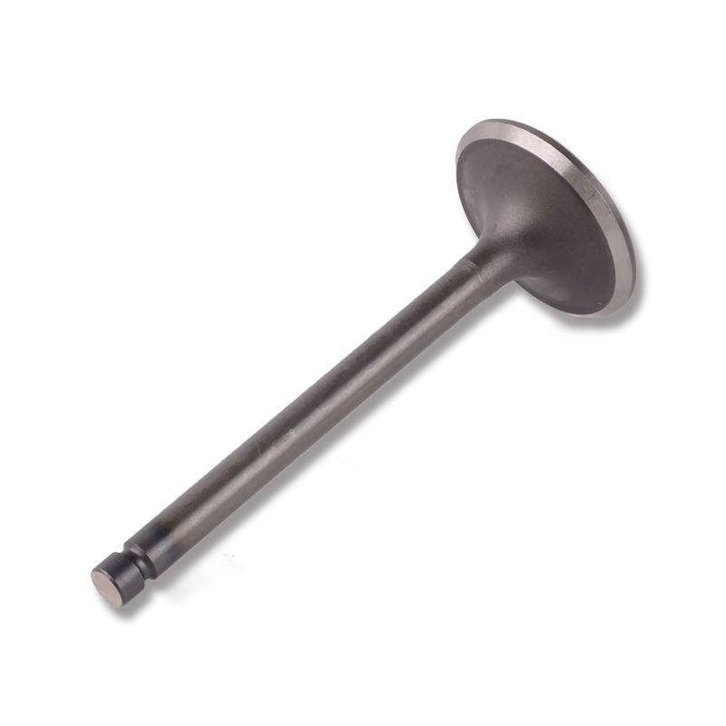 Kompatibel mit 24481 Enging Valve