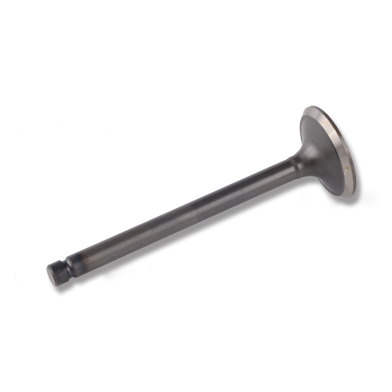 Kompatibel mit 24482 Enging Valve