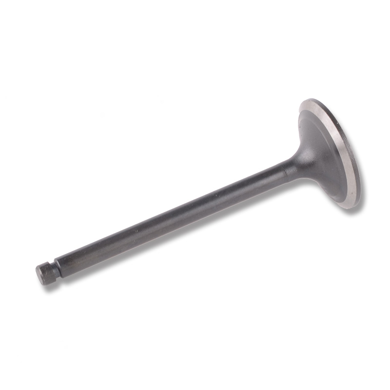 Kompatibel mit 24485 Enging Valve