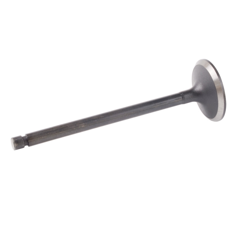 Kompatibel mit 24487 Enging Valve