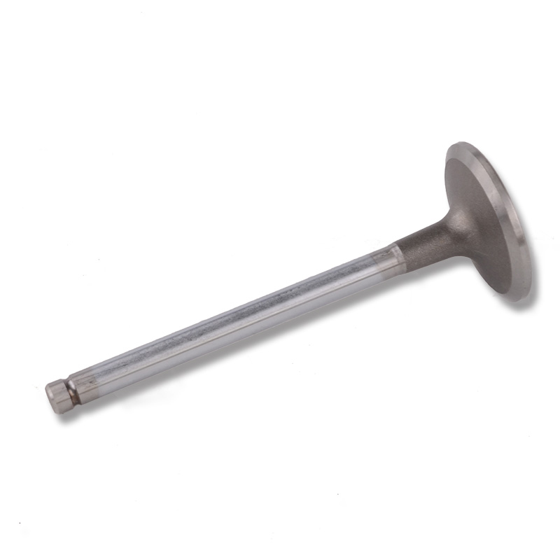 Kompatibel mit 24489 Enging Valve