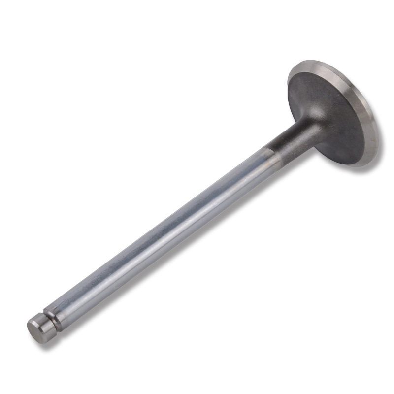 Kompatibel mit 24490 Enging Valve
