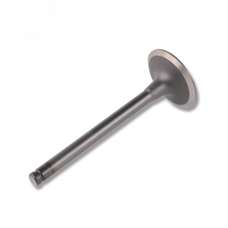 Kompatibel mit 24491 Enging Valve
