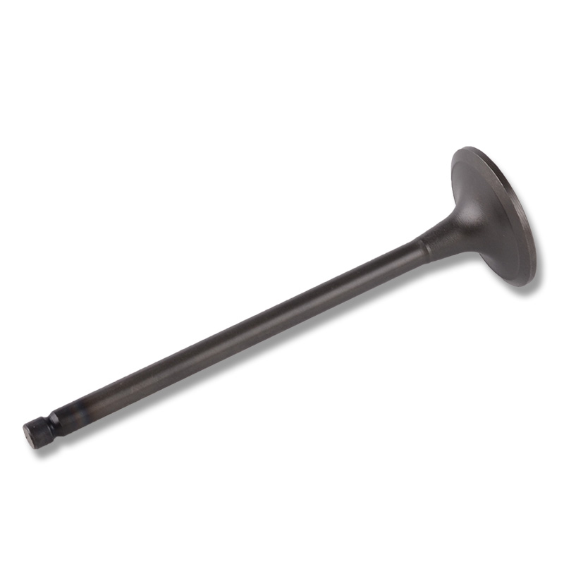 Kompatibel mit 24493 Enging Valve