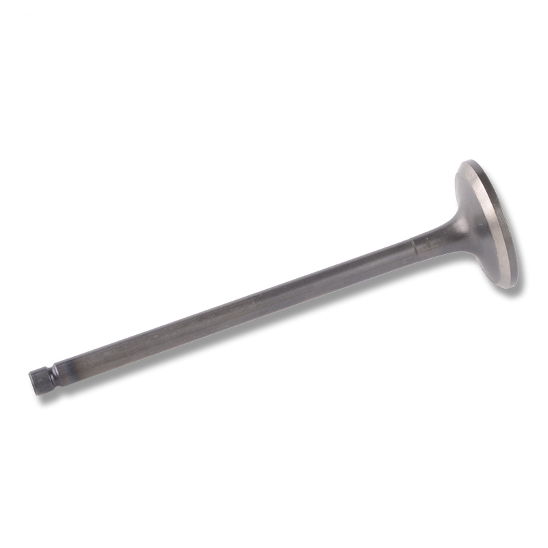 Kompatibel mit 24494 Enging Valve