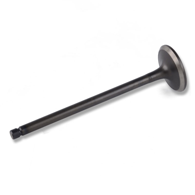 Kompatibel mit 24496 Enging Valve