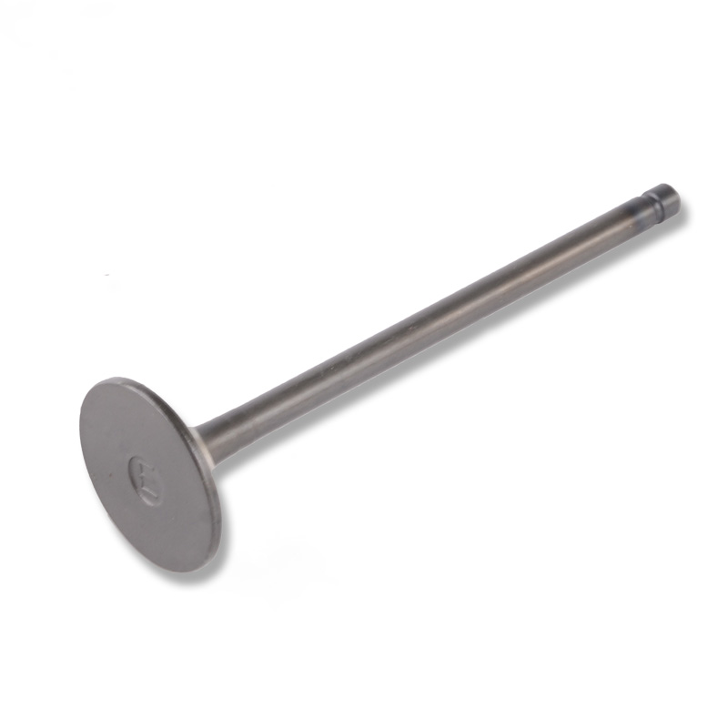 Kompatibel mit 24498 Enging Valve